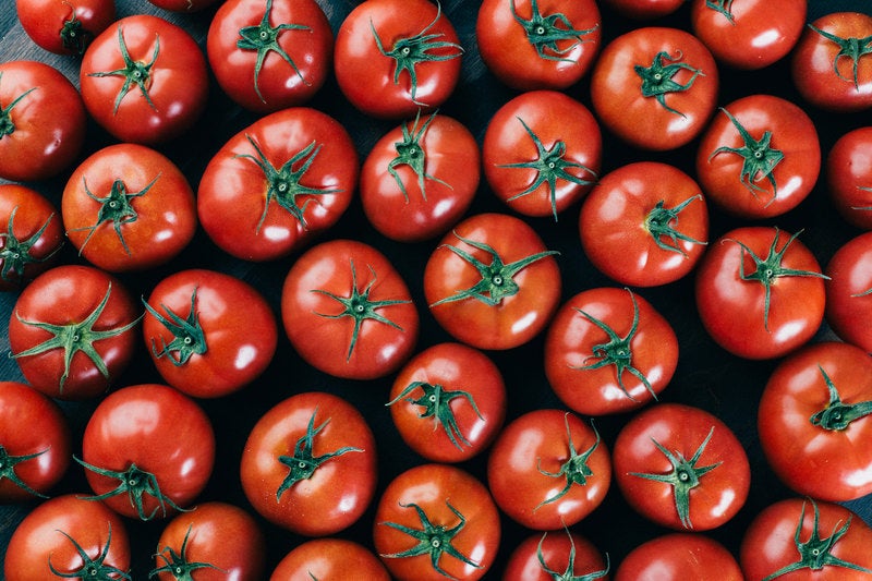 プチトマトを敷き詰めるの写真
