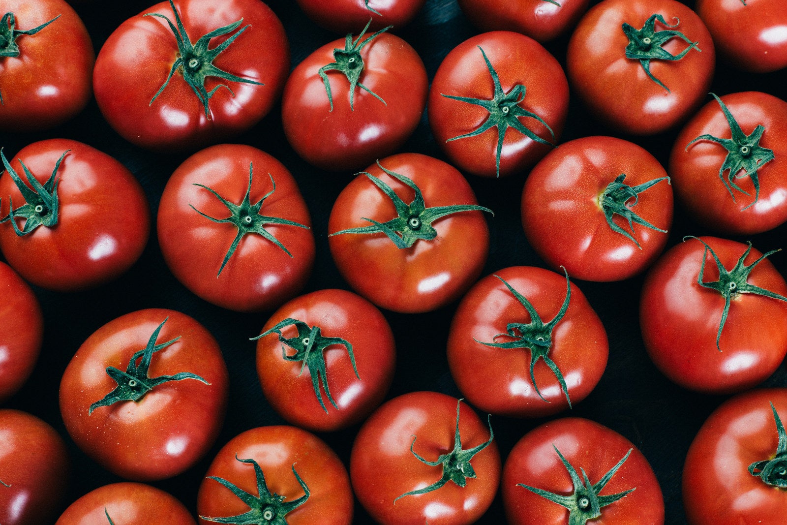 「敷き詰められたトマトを上から」の写真