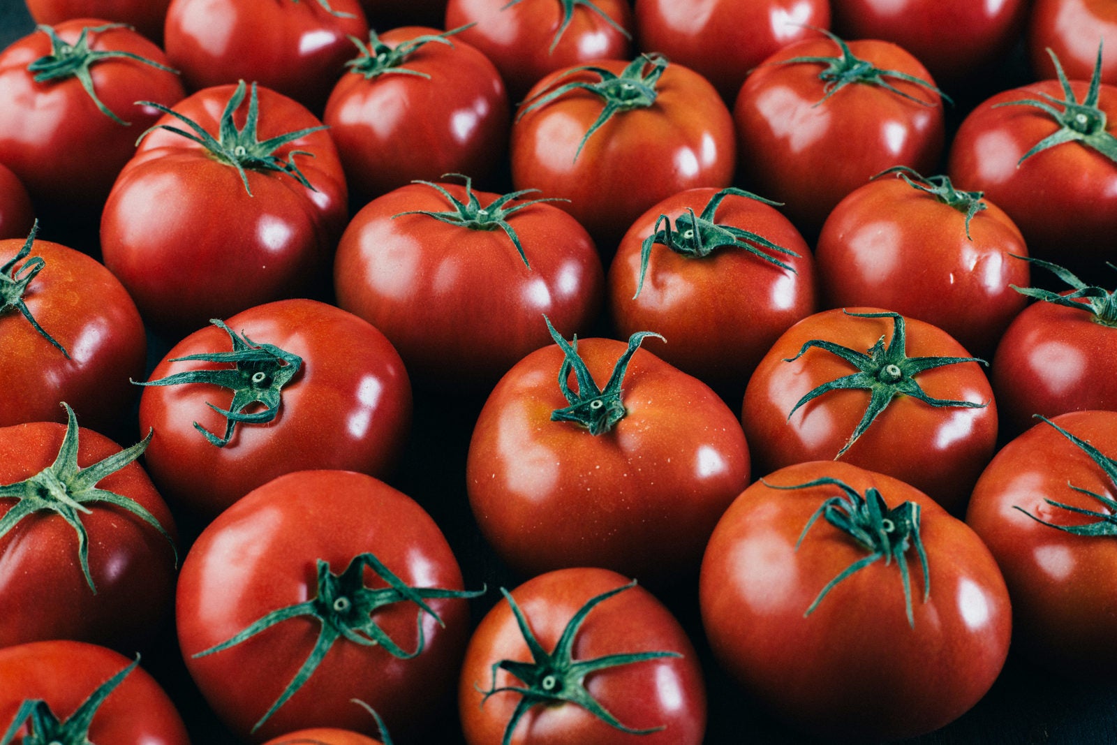 「完熟トマトがたくさん」の写真