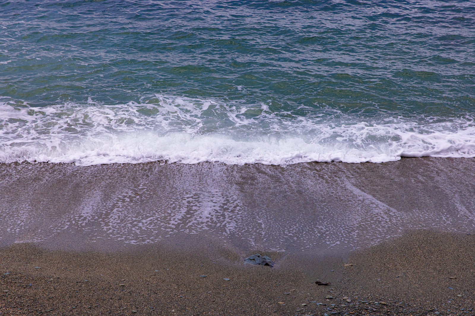 「波打ち際の浜辺」の写真