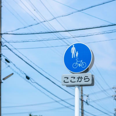 自転車通行帯の道路標識の写真