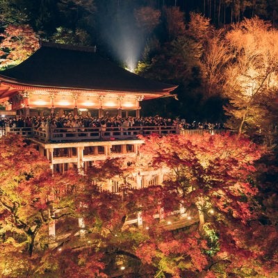 人であふれる京都清水寺のライトアップの写真