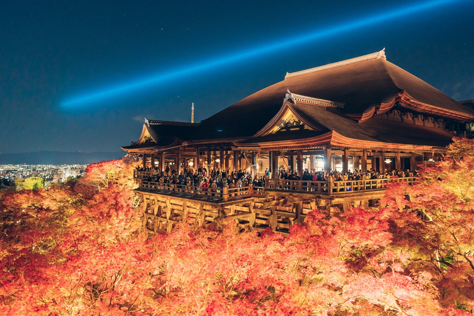 「紅葉に包まれた清水寺のライトアップ」の写真