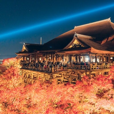 紅葉に包まれた清水寺のライトアップの写真