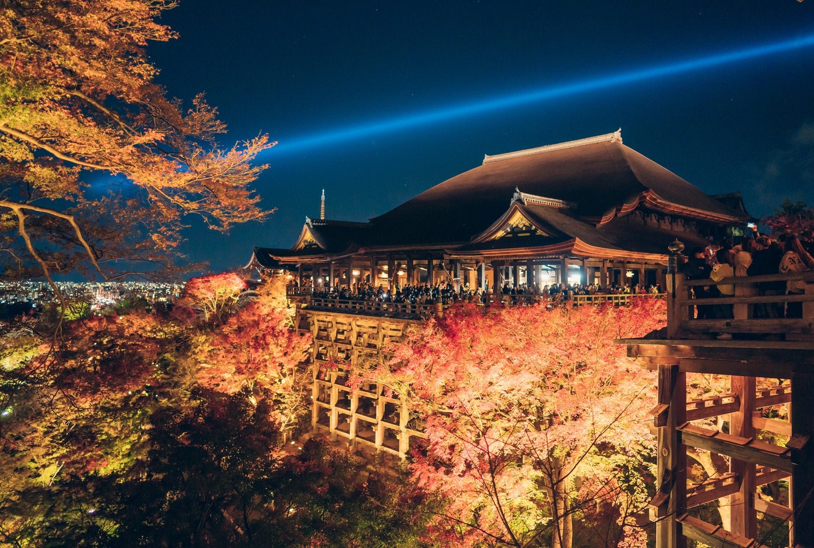 「人であふれかえる紅葉期の清水寺のライトアップ」の写真