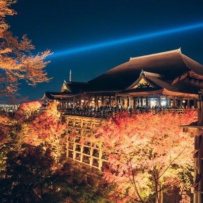 人であふれかえる紅葉期の清水寺のライトアップの写真