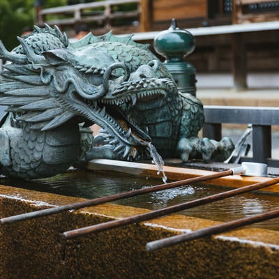 京都・清水寺梟の手水鉢の写真