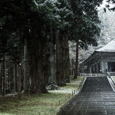 雪に包まれる中尊寺金色堂前の写真