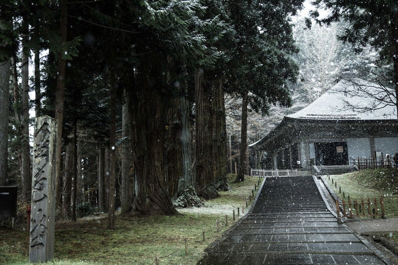 雪に包まれる中尊寺金色堂前の写真