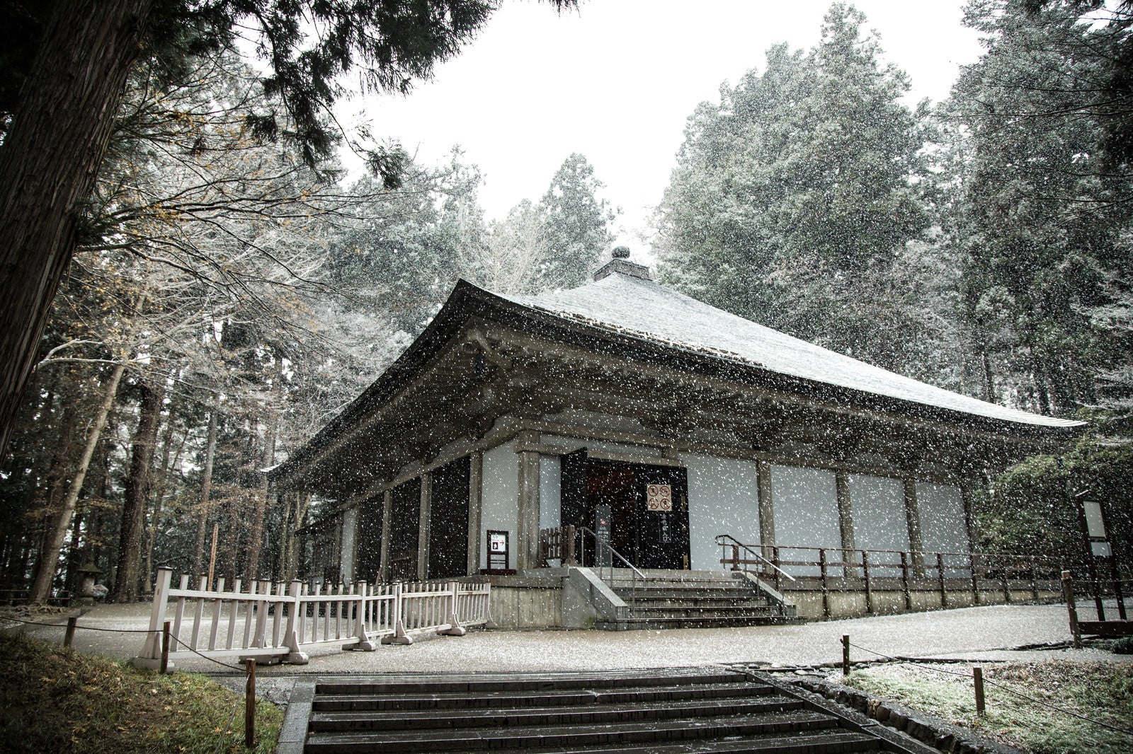 「冬の中尊寺金色堂」の写真