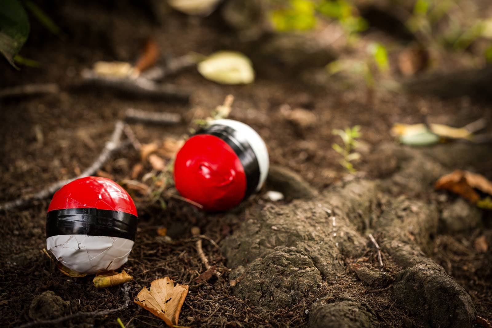 「森の中に投げ捨てられた紅白ボール」の写真