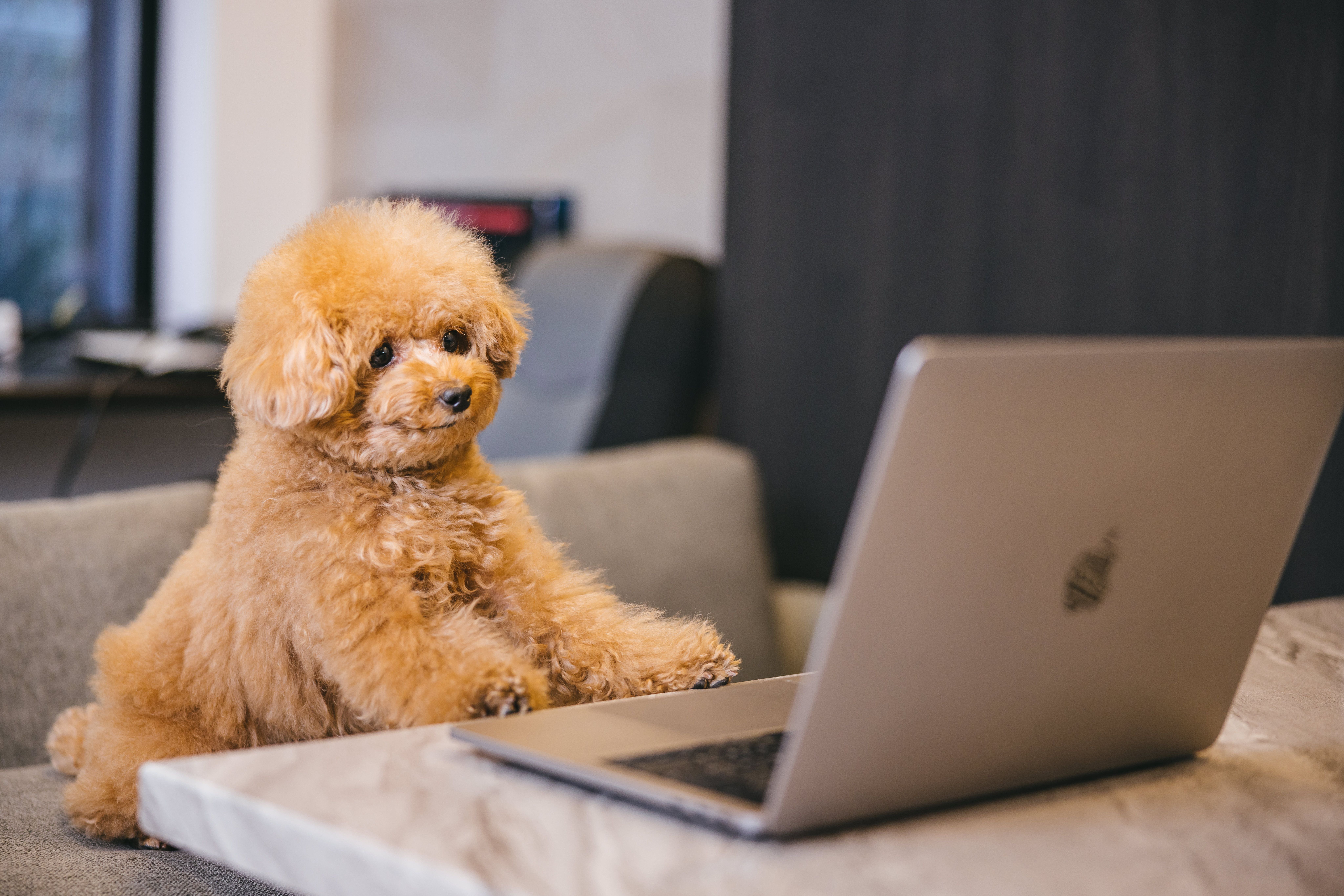 kotetsuPAR583652047.jpg?&