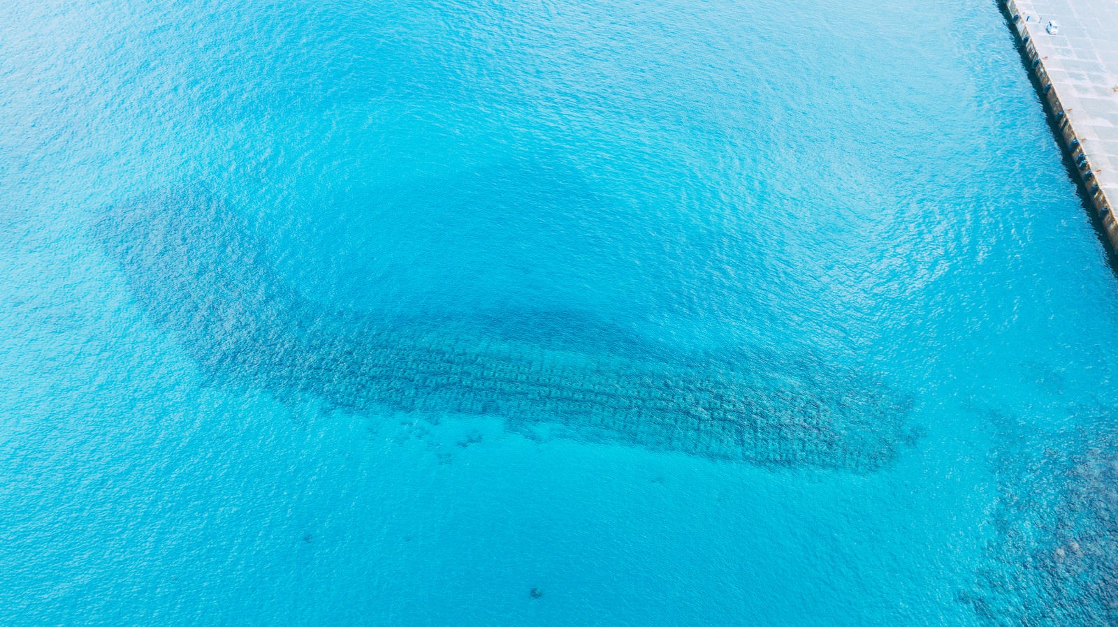 「海中に沈む消波ブロックの様子」の写真