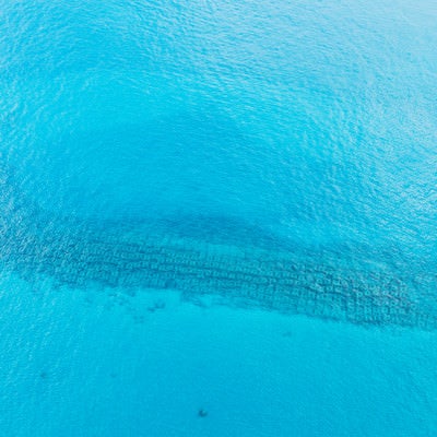 海中に沈む消波ブロックの様子の写真