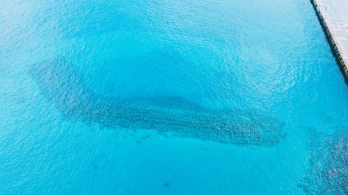 海中に沈む消波ブロックの様子の写真