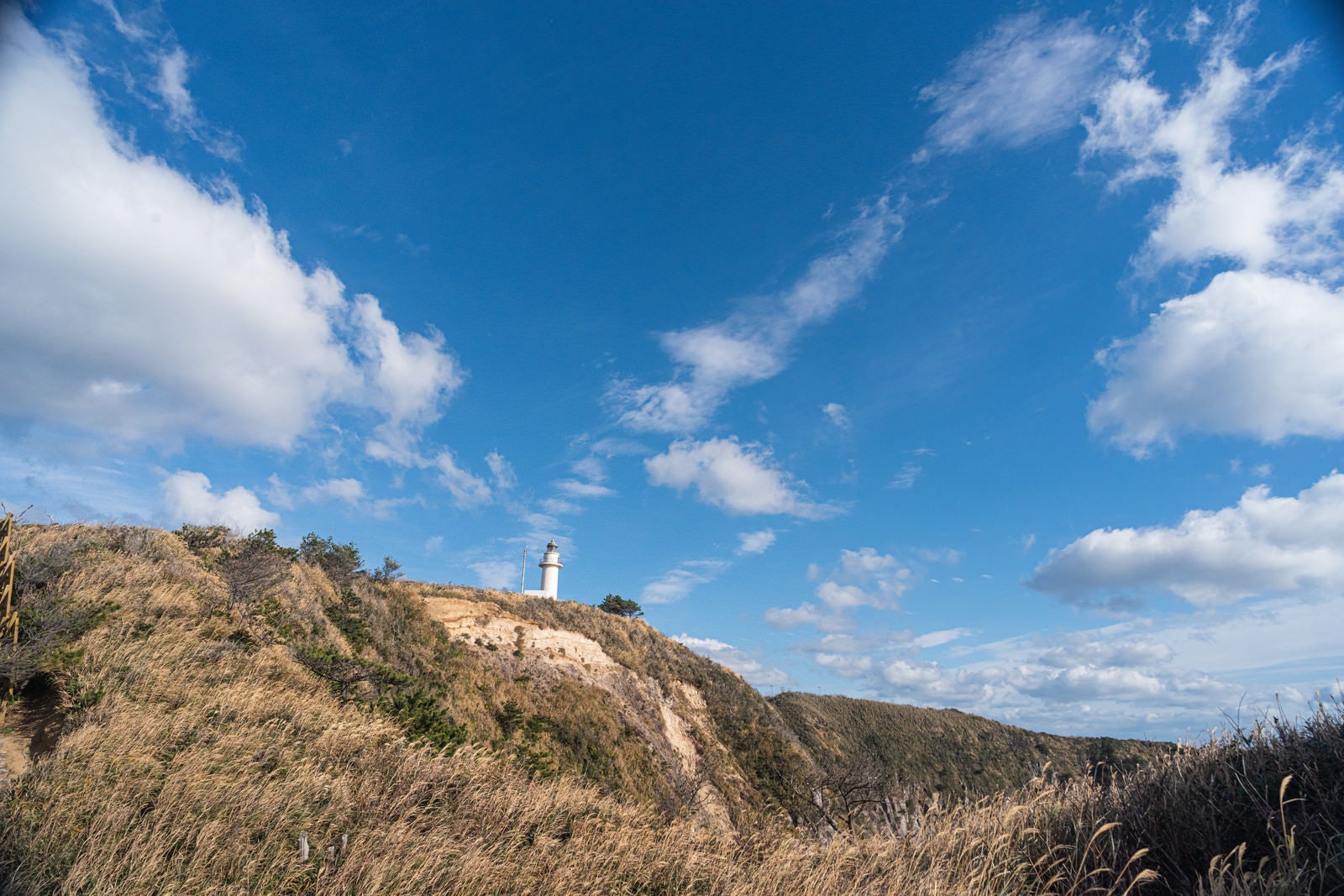 「丘上の神津島灯台」の写真