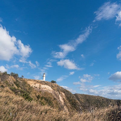 丘上の神津島灯台の写真
