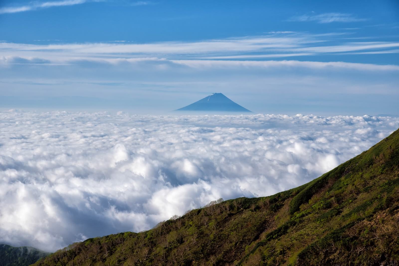 「大雲海と富士山」の写真