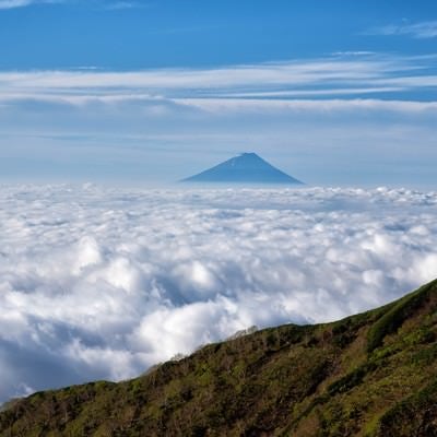 大雲海と富士山の写真
