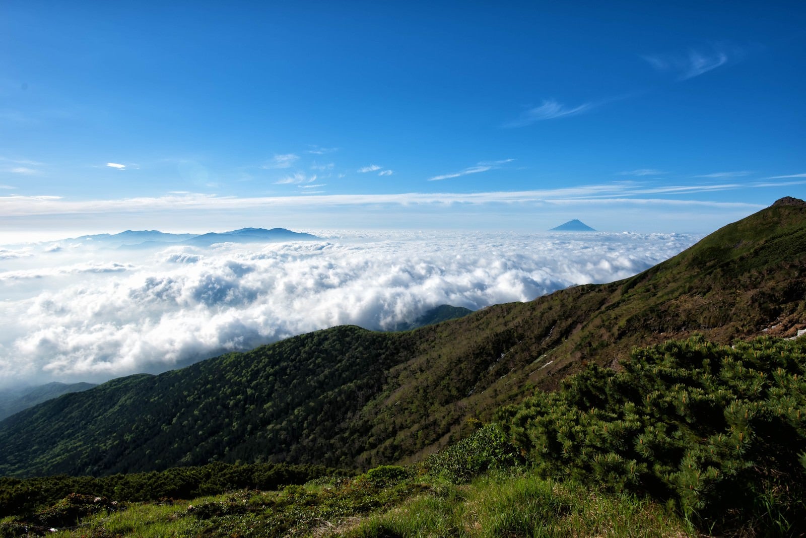 「横岳から望む雲海」の写真