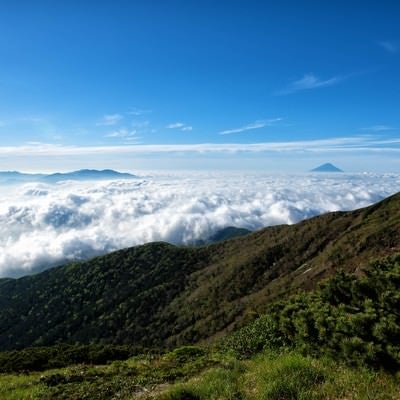 横岳から望む雲海の写真