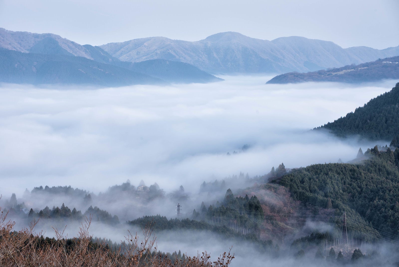 「朝霧に包まれる元箱根」の写真