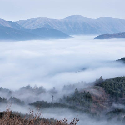 朝霧に包まれる元箱根の写真