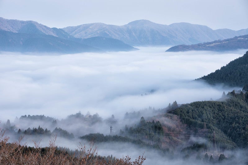 朝霧に包まれる元箱根の写真