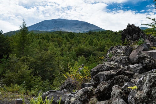 浅間山大噴火の溶岩の凝固地帯の写真
