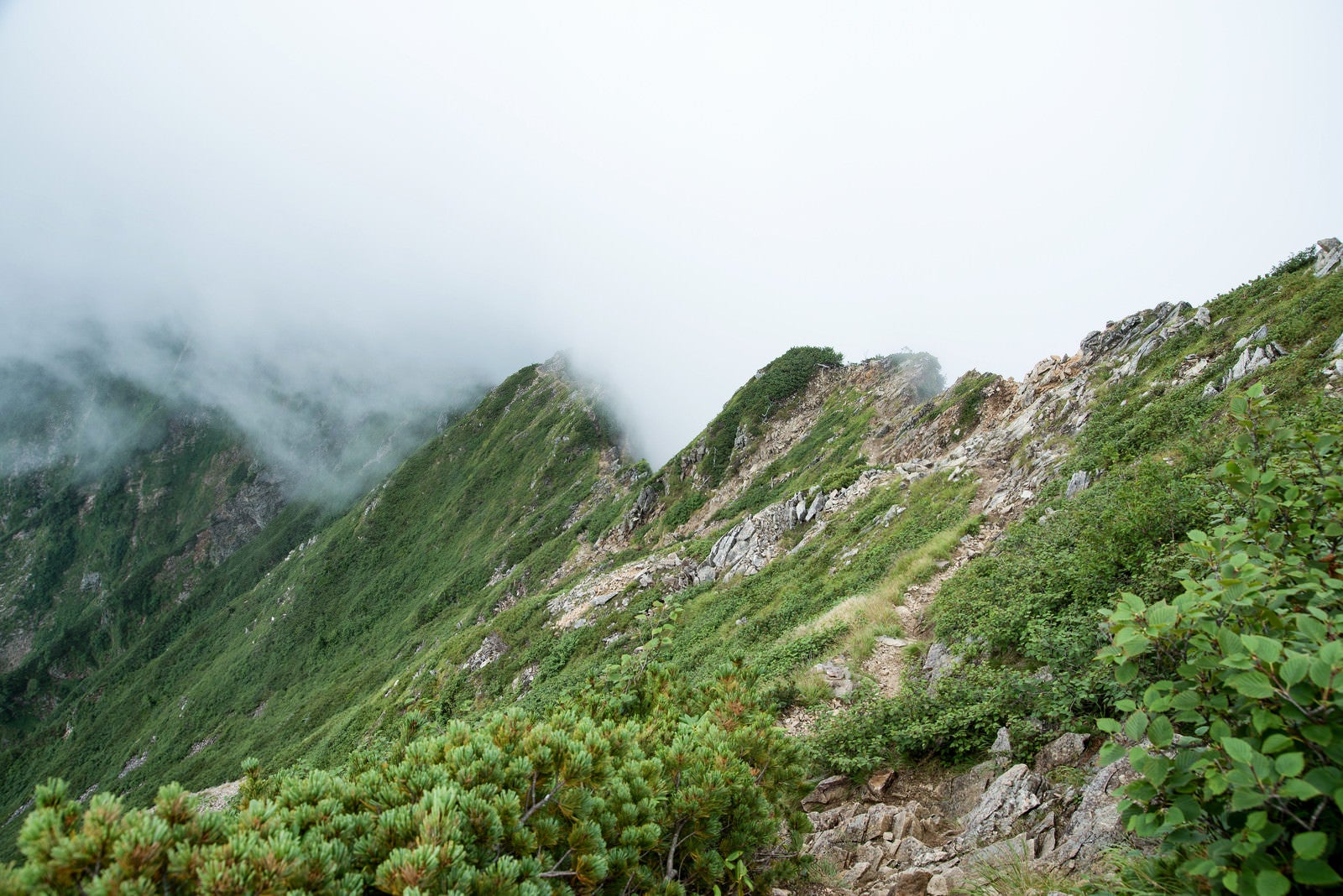 「一面の雲と傾斜の登山道」の写真