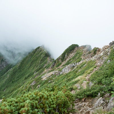 一面の雲と傾斜の登山道の写真