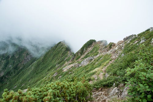 一面の雲と傾斜の登山道の写真