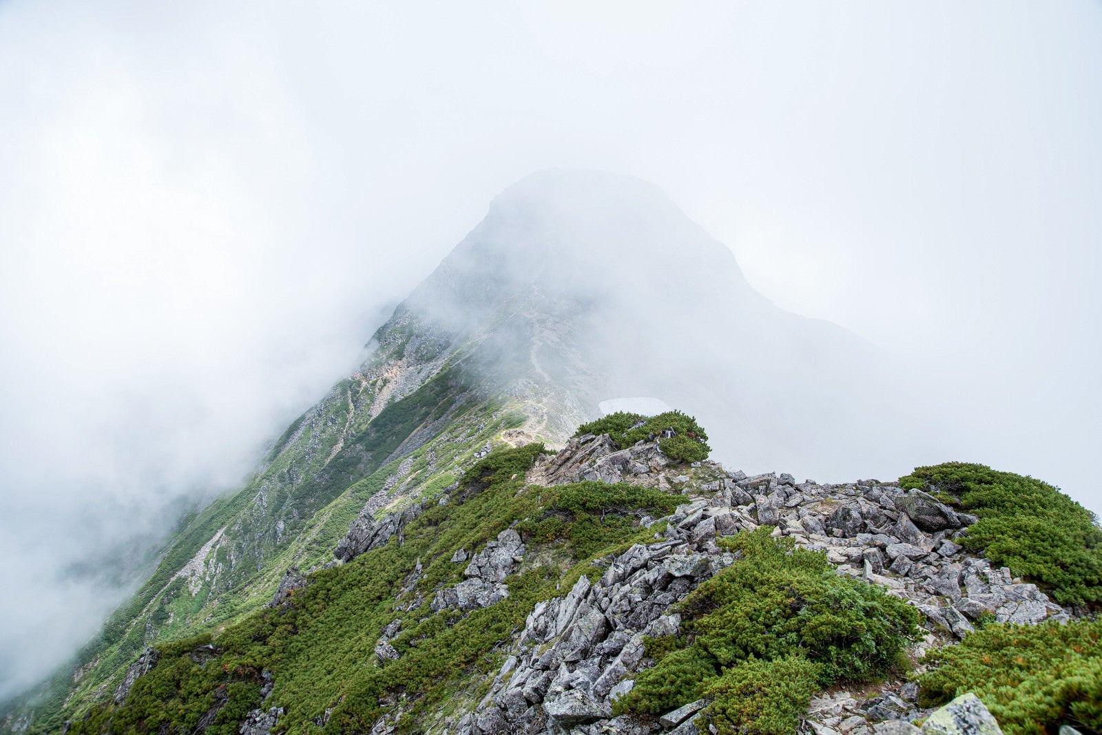 「視界不良の雲の中に進む登山道」の写真