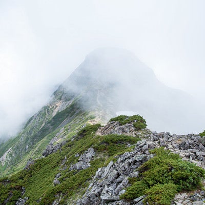 視界不良の雲の中に進む登山道の写真