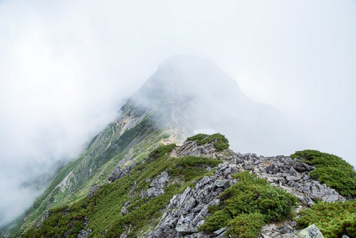 視界不良の雲の中に進む登山道の写真