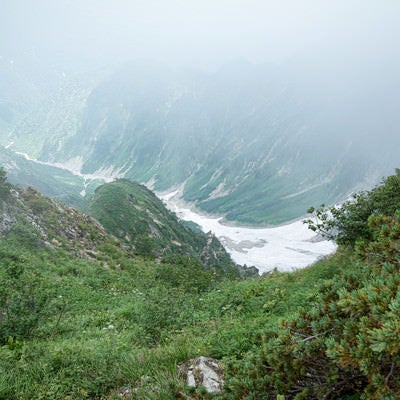 雪残る霧の中の谷の写真
