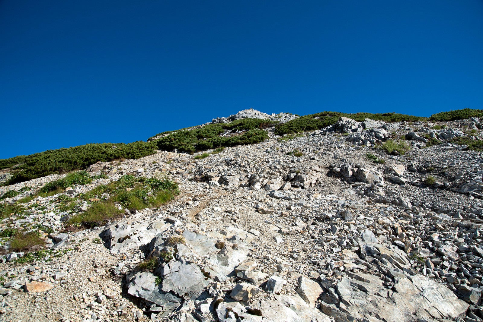 「登り辛いザレ場の斜面」の写真