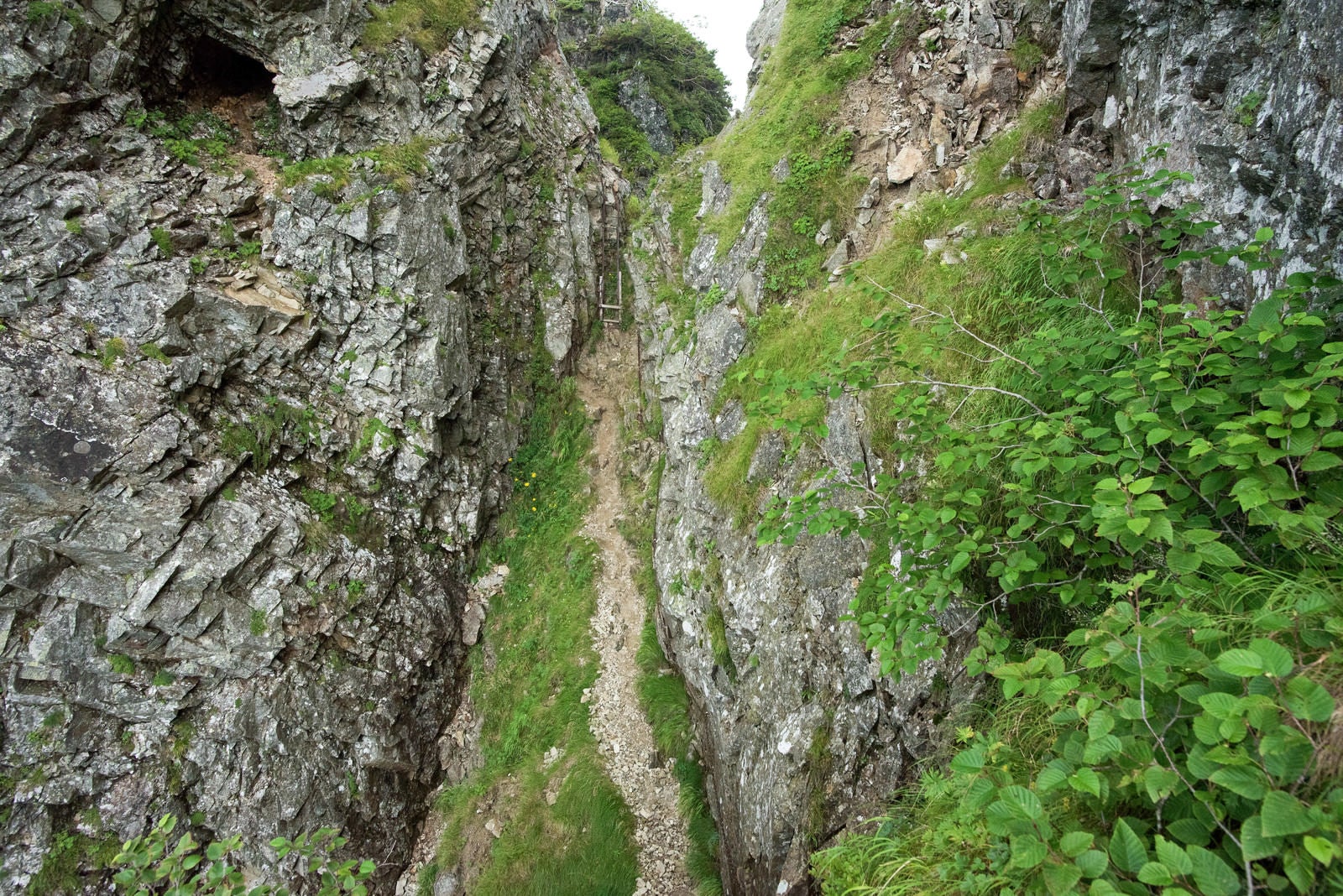 「崖の壁に挟まれた登山道」の写真