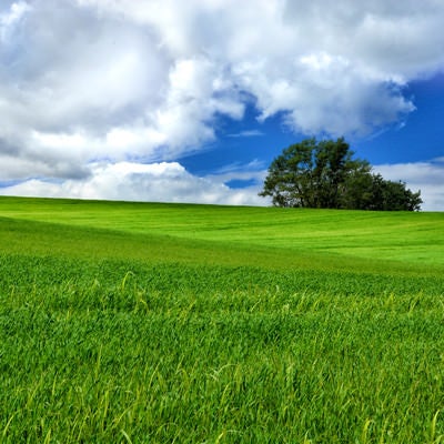 北海道にある大草原の風景の写真