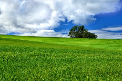 北海道にある大草原の風景の写真