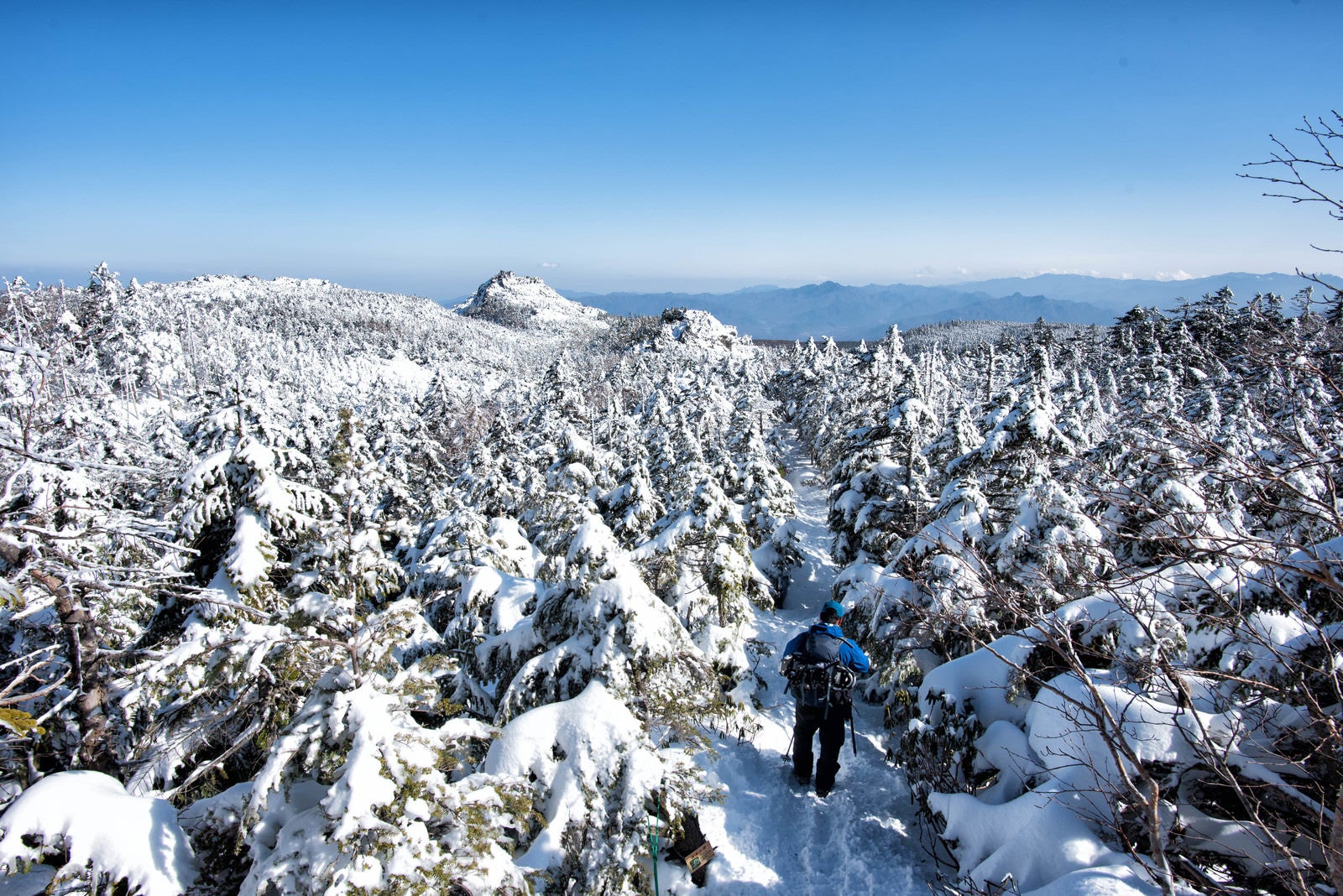 「白く染まる樹林帯を進む登山者」の写真