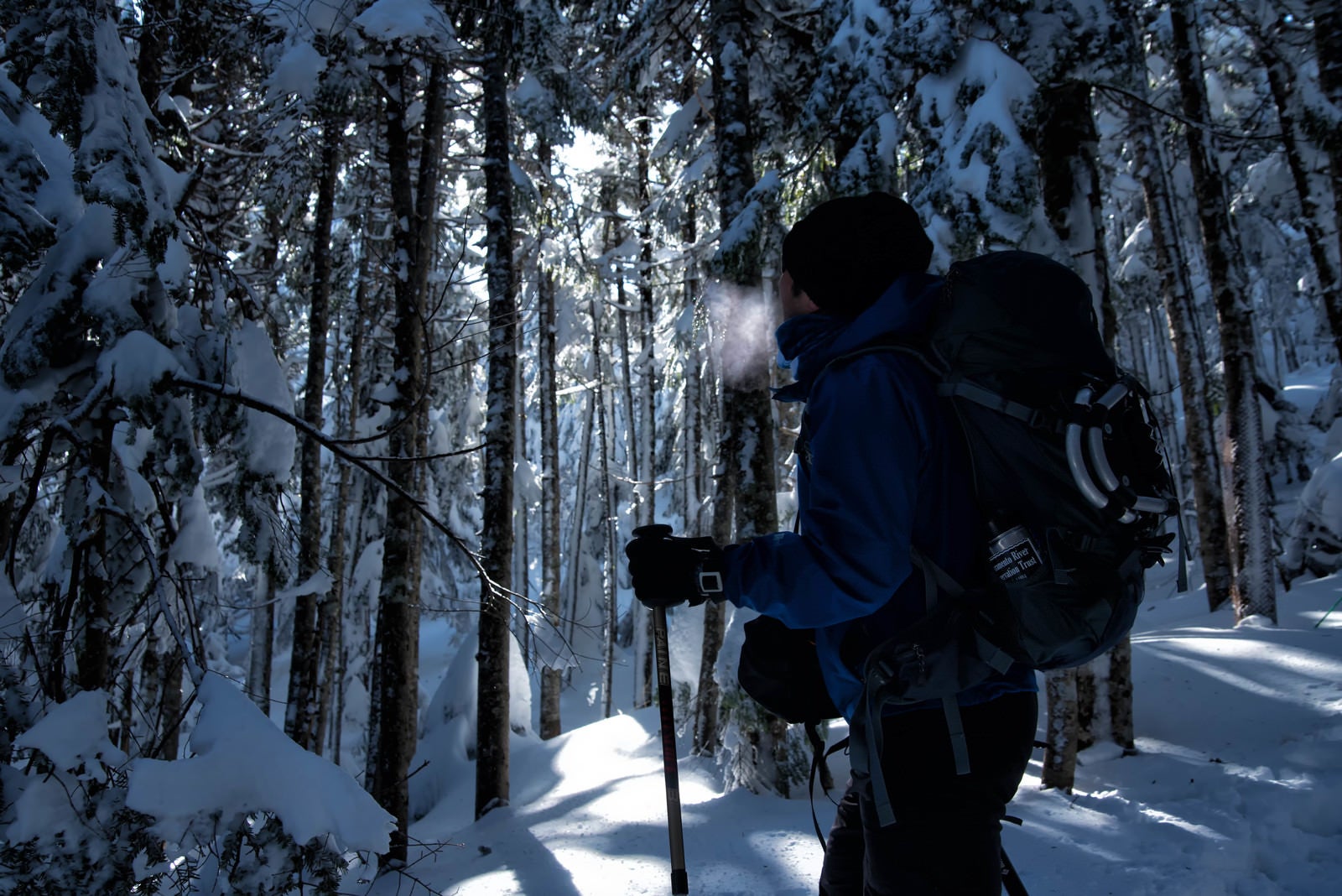 「雪山の森林を進む登山者の男性」の写真