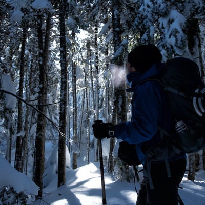 雪山の森林を進む登山者の男性の写真