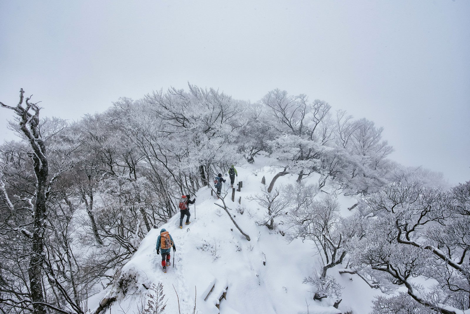 「丹沢主稜線を進む登山パーティー」の写真