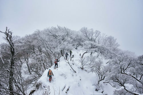 丹沢主稜線を進む登山パーティーの写真