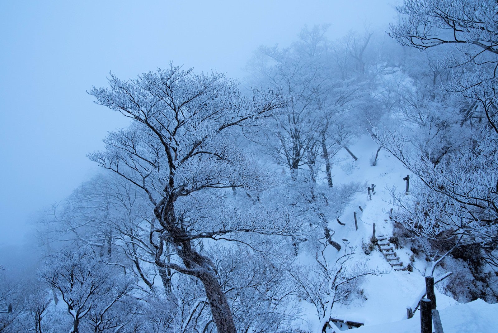 「丹沢雪景色」の写真