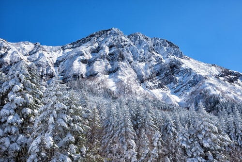 凍り付く赤岳主稜の写真