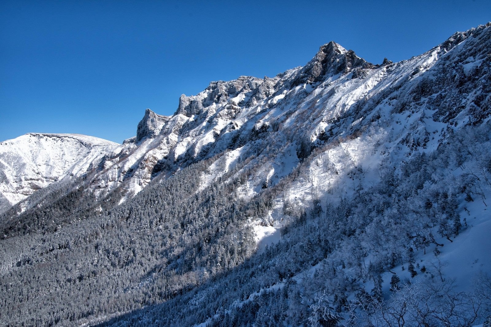 「厳冬の横岳」の写真