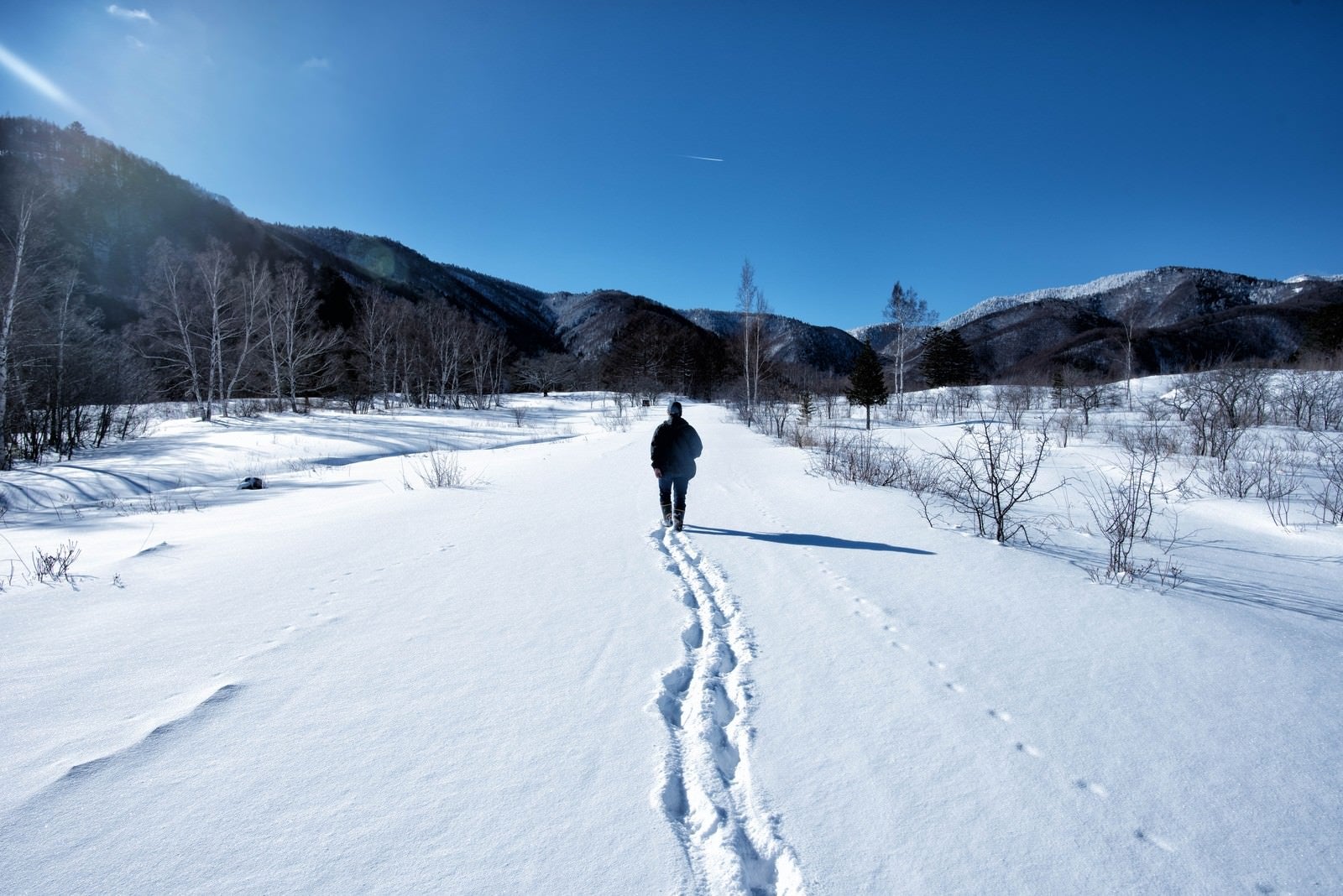 「新雪の雪原を歩く人」の写真