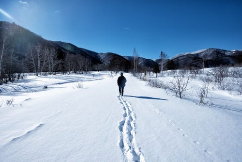 新雪の雪原を歩く人の写真